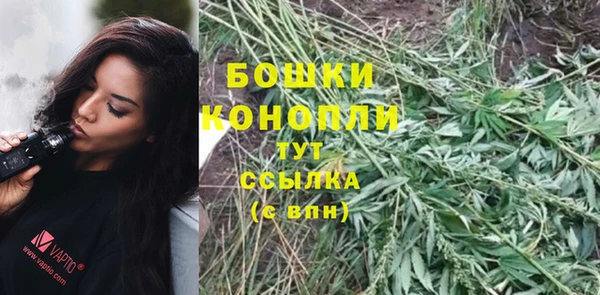 ECSTASY Бронницы