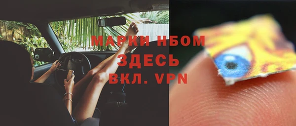 гидропоника Бородино