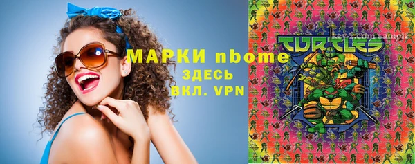 гидропоника Бородино