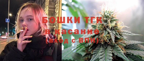 гидропоника Бородино